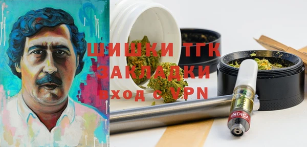 хмурый Дубна