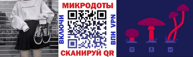 даркнет наркотические препараты  хочу   Зима  Псилоцибиновые грибы мухоморы 